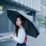XIAOMI MIJIA WD1 AUTOMATIC UMBRELLA