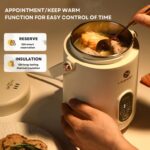 LIVEN DDG-D1216 Stainless Steel Slow Cooker