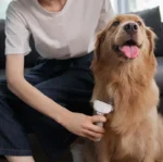 Xiaomi Youpin Pawbby Pet Hair Removal Comb
