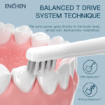 ENCHEN T501 Electric Toothbrush Heads (2pcs)