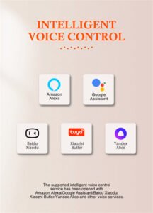 LDNIO SEW1058 WiFi Smart Power Plug